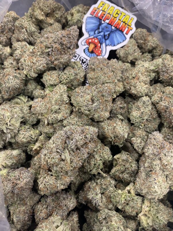 Godfather OG
