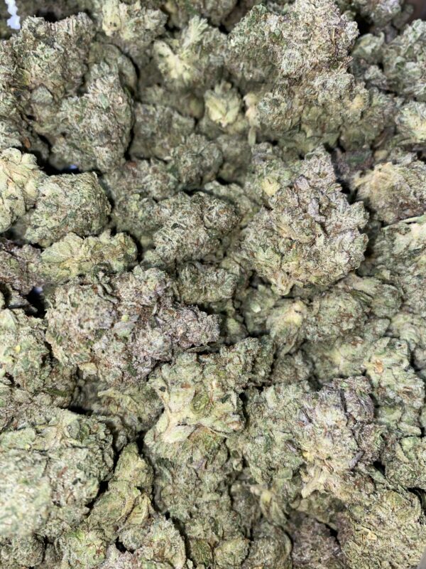 Gorilla Glue