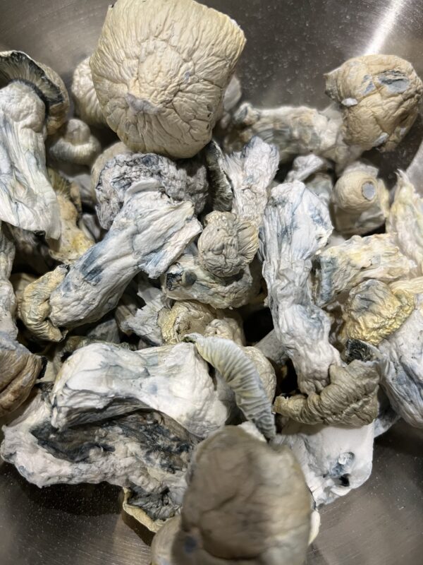 Mushroom Oz Special $125