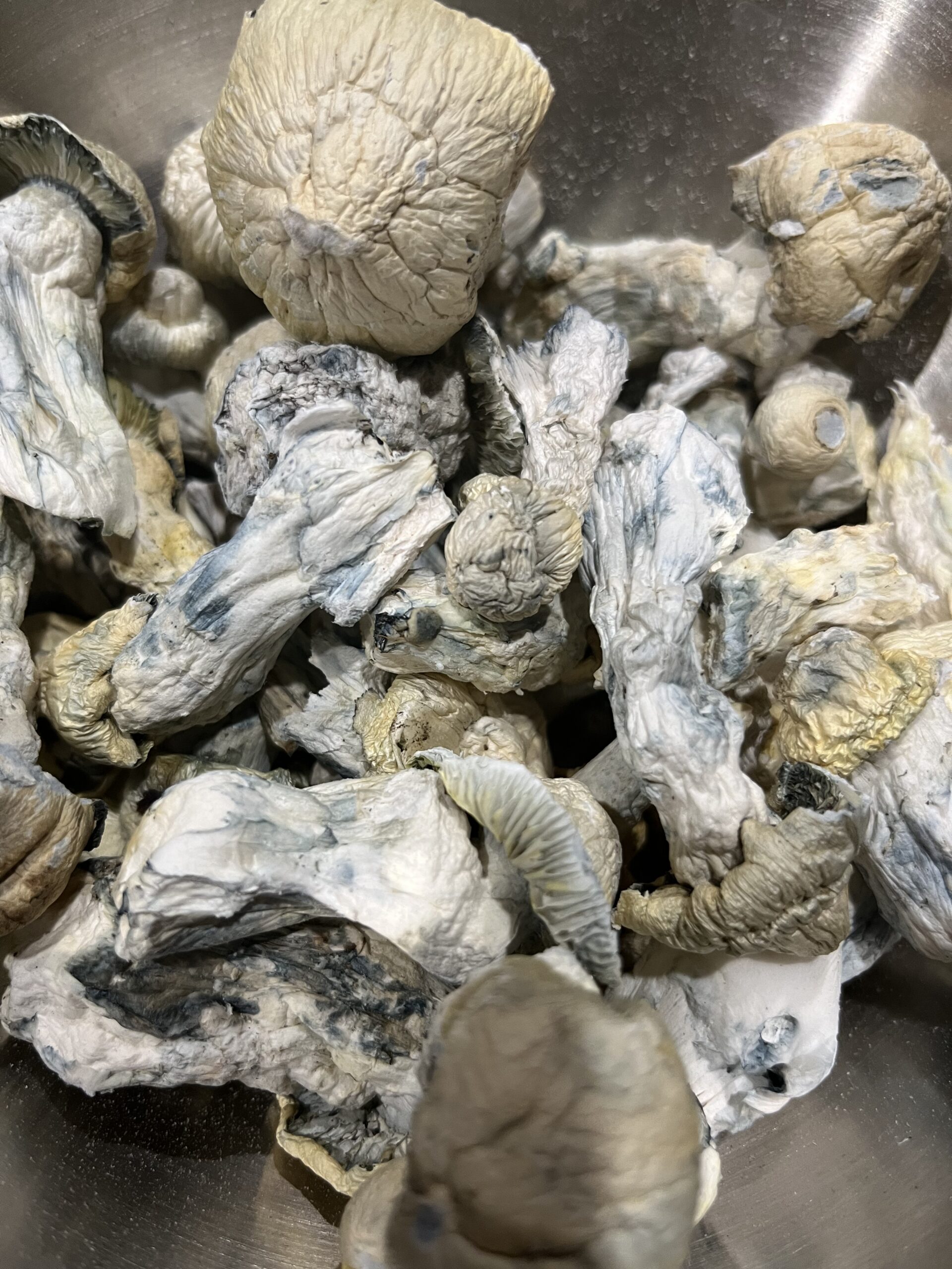 Mushroom Oz Special $125