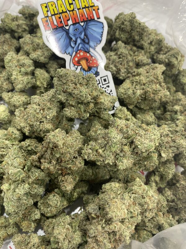 Larry gelato