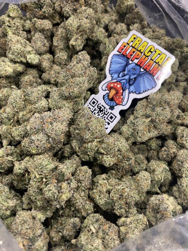 Legendary OG Punch