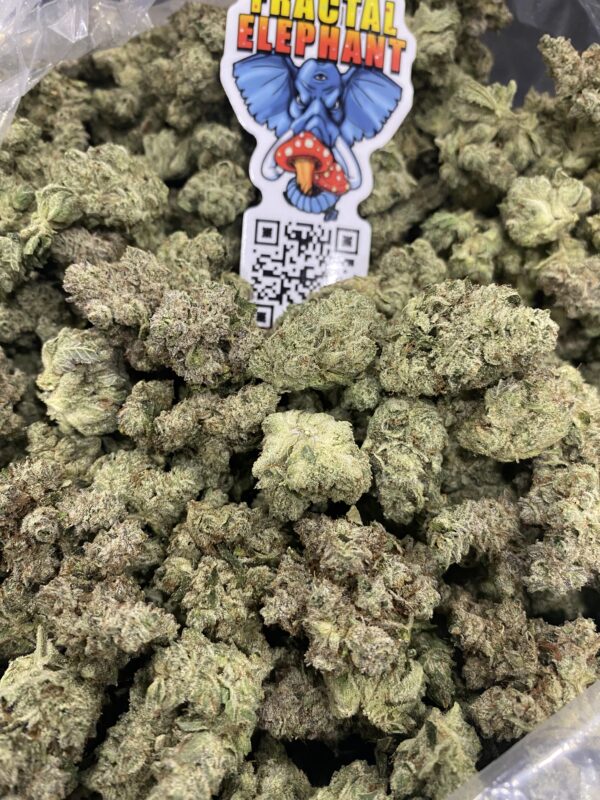 Gorilla Glue