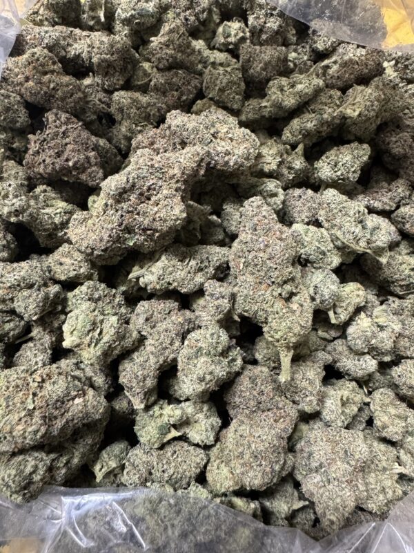 Blueberry Blender
